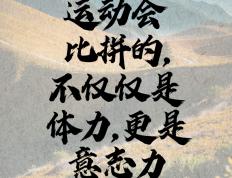 开云体育官网-运动员励志拼搏，绽放出耀眼的光芒的简单介绍