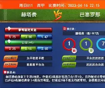 开云体育入口-巴斯克维特主场告负，连胜终结